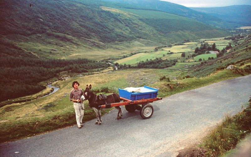 An Irish Traveler at Fenway Park