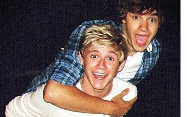 Liam Payne and Niall Horan.