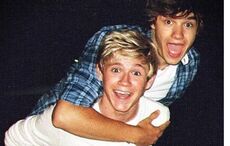 Niall Horan pens heartbreaking tribute to late bandmate Liam Payne