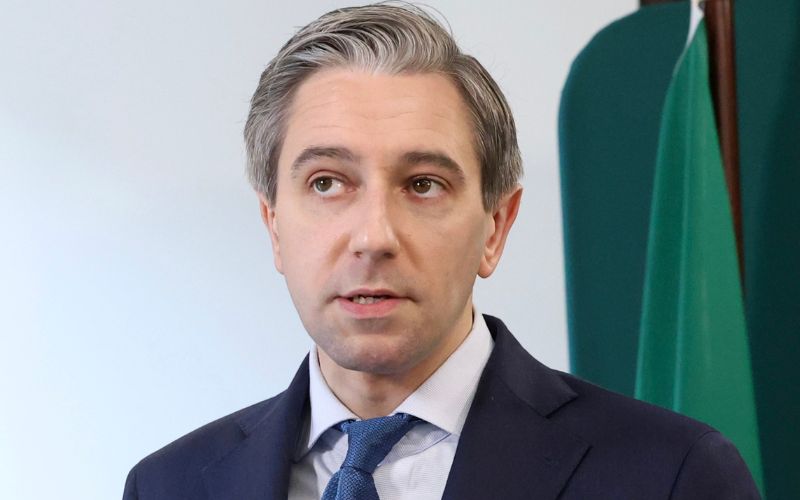 Ireland will have a general election this year, Taoiseach confirms