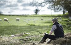 Where are the best counties in Ireland to start a farm?