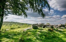 120 of Ireland's gardens, greenways, and wildlife sanctuaries land international award