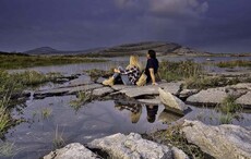 Irish county jumps ten places in global sustainability ranking 