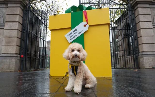 Irish charity Dogs Trust are calling on for a Junior Minister for Animal Welfare in Ireland.