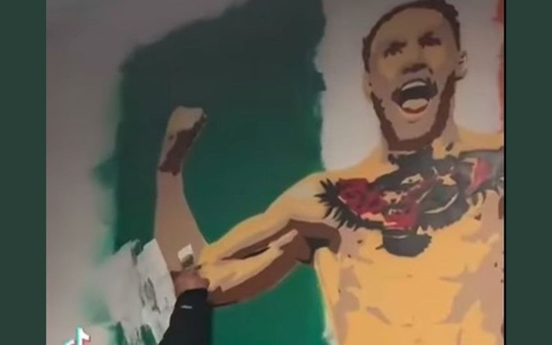 Galway gym removes Conor McGregor mural following High Court case