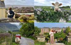 Photos of Ireland: Vote for your favorite in My Irish Cousin's photo competition! 