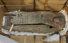 University College Cork returns historical objects to Egypt