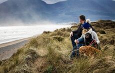 10 beautiful trails in Ireland for your first family walk of 2025