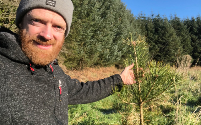 Irish Heritage Tree farmer Tim Daly in West Cork