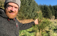 Behind-the-scenes of the Irish Heritage Tree farm in West Cork