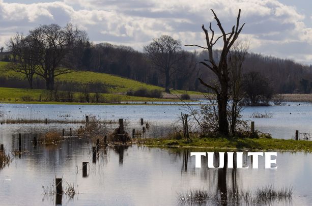 \"Tuilte\" will be broadcast on Wednesday, February 21st at 9:30 pm on TG4 and will be available on TG4\'s iPlayer.