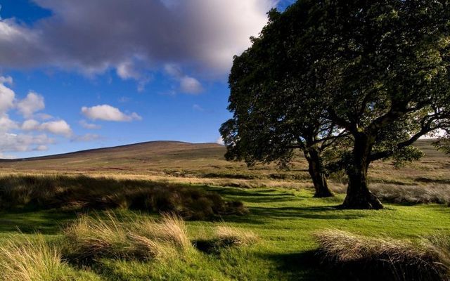 The Sally Gap in the Wicklow Mountains was used as a filming location in \"P.S. I Love You.\"