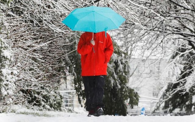 March 1, 2024: A person walking through a snowy Albert College Park Ballymun Road in Dublin.