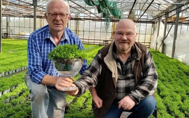 Seán Daly (right) with shamrock producer Joe Sugrue. 