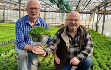 Co Kerry "hat-trick" as Dingle Crystal crafts Shamrock Ceremony bowl for third year