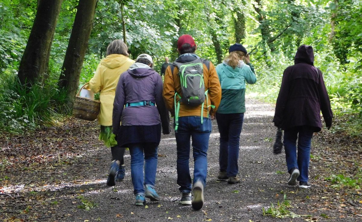 “Walking in the footsteps” of your Irish ancestors