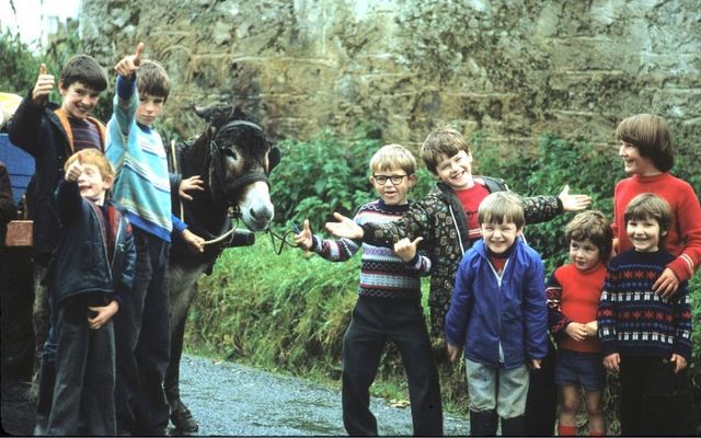 Missie and a nest of admirers, County Kerry, June, 1979