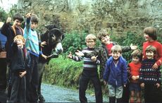 Trekking Ireland in 1979 with a donkey while handing out JFK half-dollars
