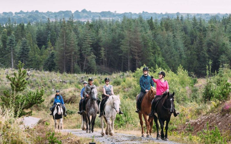 Ireland in spring - Fun festivals and wonderful hidden gems you don't want to miss