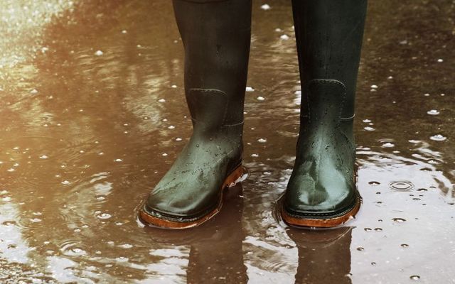 Farmers in Co Wexford are concerned by the heavy rain that is preventing them from planting.