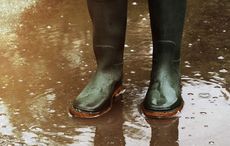 Wexford Mass prays for better weather after months of rain