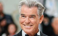 Pierce Brosnan set to star in big screen adaptation of popular crime novel series