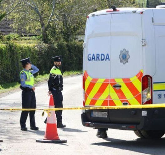 Four people charged after 'disgraceful' attack on gardaí in Newtownmountkennedy