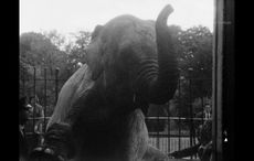 WATCH: A school trip to the Dublin Zoo nearly 100 years ago