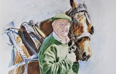 The search for a jarvey in Killarney