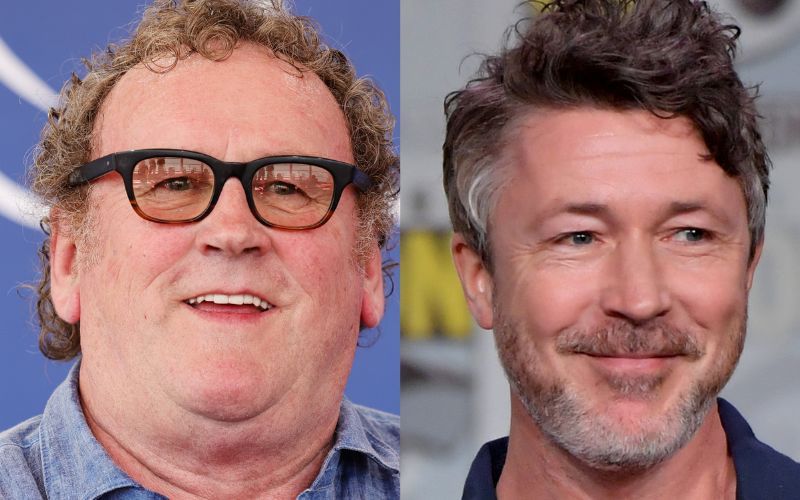 Irish stars Colm Meaney and Aidan Gillen to star in West Cork true crime drama