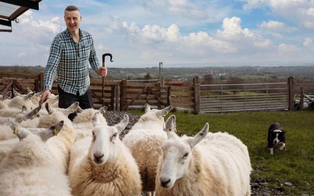 Glenshane Country Farm, Northern Ireland