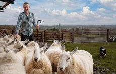 Discover Ireland's culture & tradition at these unique Irish experiences