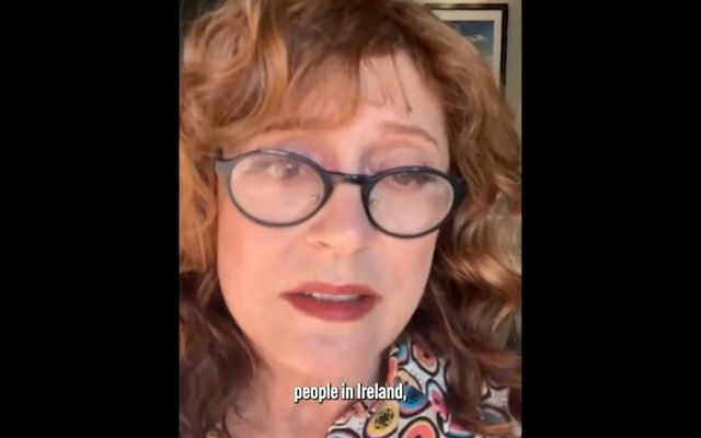 Susan Sarandon recorded a video encouraging people in Ireland to re-elect Mick Wallace and Clare Daly to European Parliament. 