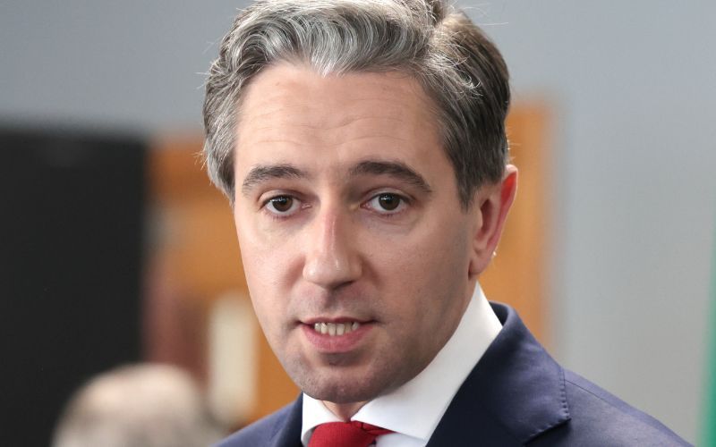 Taoiseach "pushed" and Garda "hit" during confrontation with Enoch Burke's family in Co Mayo