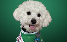 Ireland's most adorable pet competition returns this summer