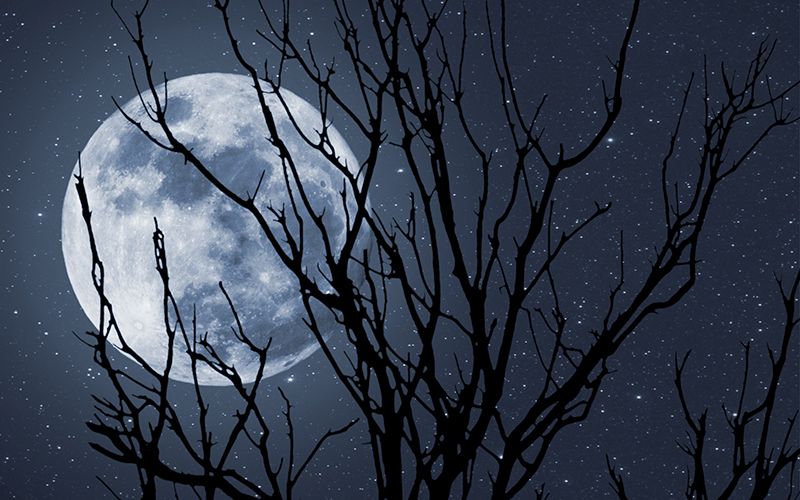 Ireland's Summer Solstice: 5,000-year-old Kerry altar will see moon standstill