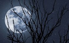 Ireland's Summer Solstice: 5,000-year-old Kerry altar will see moon standstill