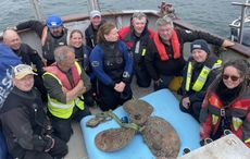 WWI German submarine propeller recovered from Cork Harbour