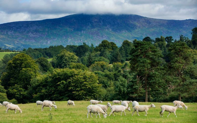 Two Wexford walking trails to be upgraded as part of Irish Government initiative
