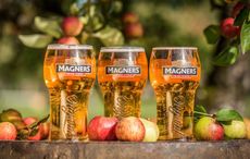 Magners Irish Cider returning to the US market this summer