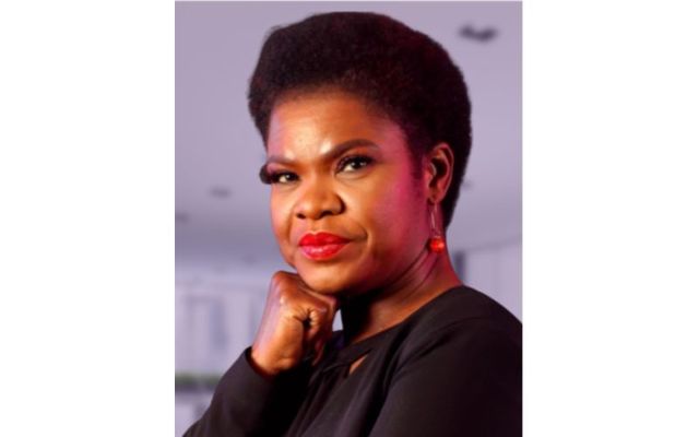  Dr. Ebun Joseph, Special Rapporteur for the National Plan Against Racism.
