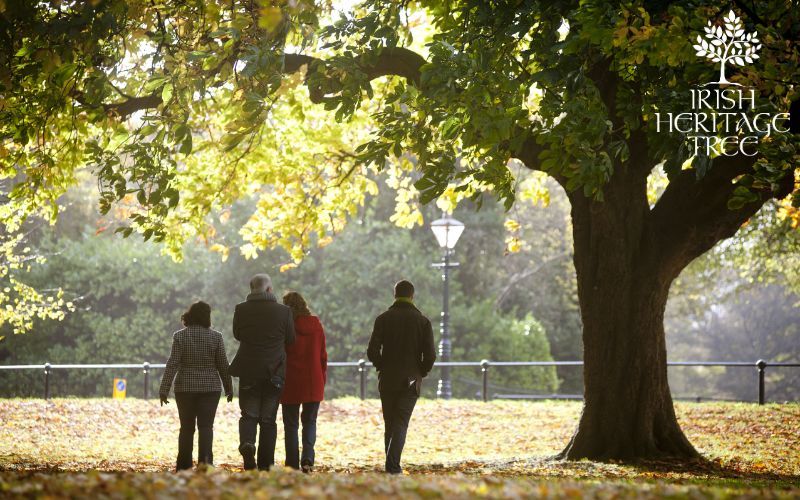 Roots of heritage, wings of legacy: Plant a tree in Ireland