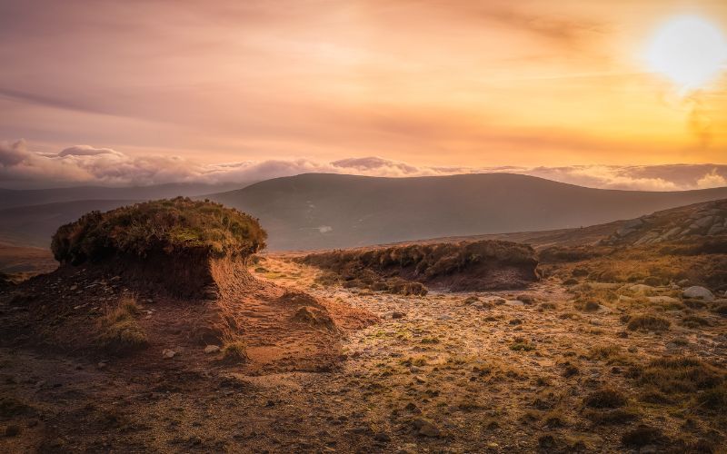 Irish peat soils are far more vast than previously thought, new Irish research finds