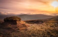 Irish peat soils are far more vast than previously thought, new Irish research finds