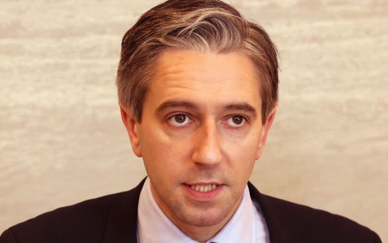 Security bosses urge Simon Harris to move into Farmleigh as "round of arrests would do no harm"