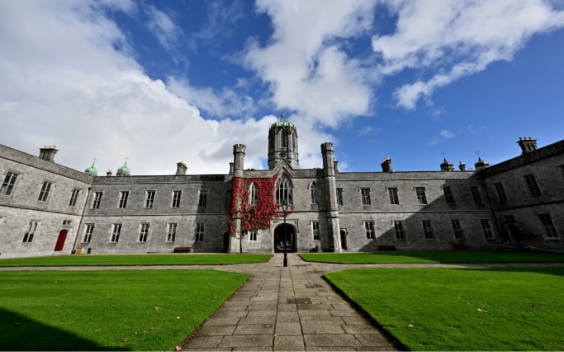 Ibec's Danny McCoy among 16 honorary graduates at Galway University