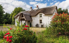 Fairytale-esque cottage in Wexford goes on the market for €520k