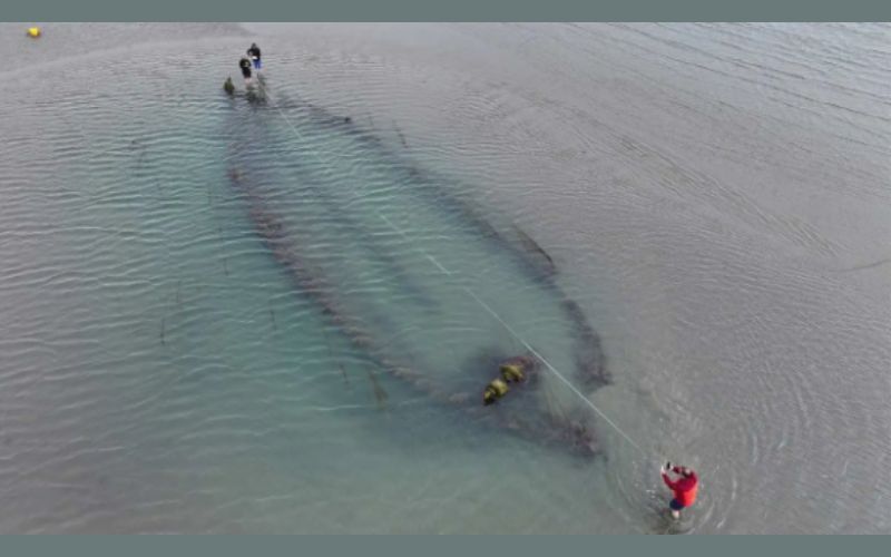 Mystery surrounding four historical shipwrecks washed up on Portmarnock Beach