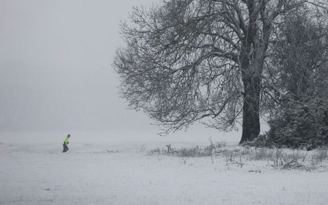 Jan 5, 2025: A runner braves the Curragh Plains, in County Kildare.