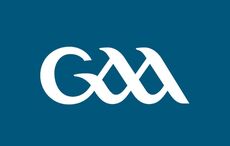 Tá ról nua ag Rory Gallagher, an bainisteoir CLG conspóideach, le foireann Chúige Laighean